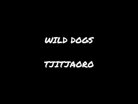 Wild dogs tjitjaoro
