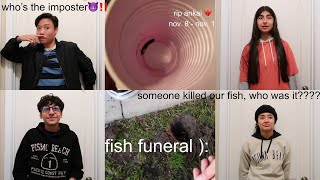 attending a fish funeral