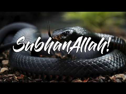 Ngjarje e vërtetë | Vdekja e djaloshit pa namaz - Hoxhë Sadullah Bajrami