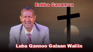 Eebba Ganamaa Luba Qannoo Galaan Waliin / 780