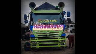 Download lagu Story wa terpesona versi truck hino jagoan papa mp3