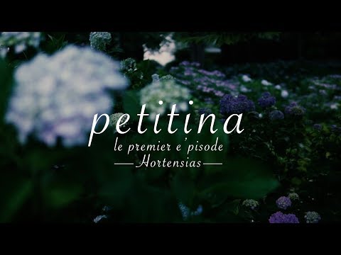 petitina le premier episode  ―Hortensias―