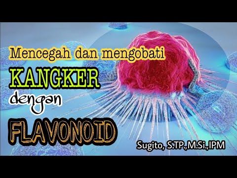 Mencegah dan Mengobati KANGKER dengan FLAVONOID