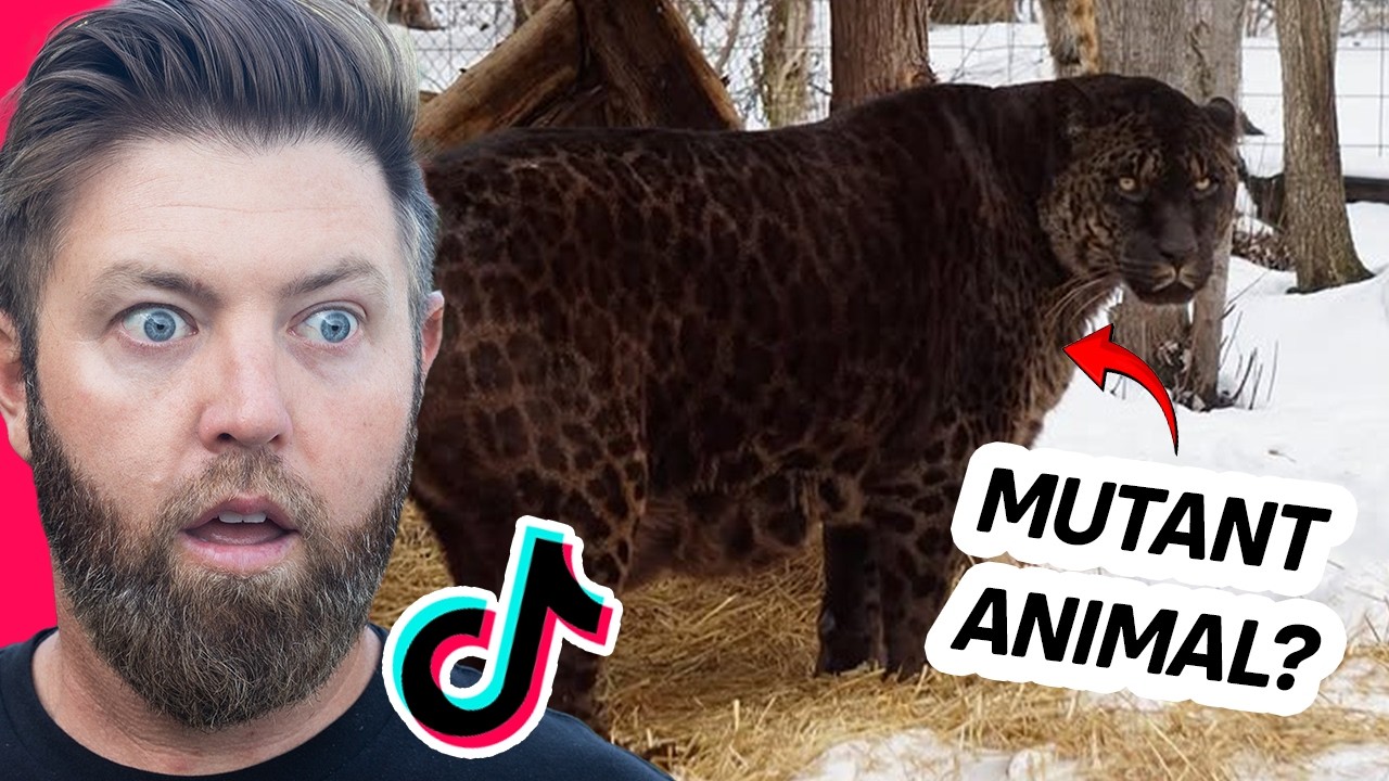 Wildlife Expert Reacts To Viral Animal TikToks