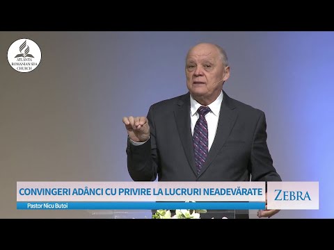 Nicu Butoi - Convingeri adânci cu privire la LUCRURI NEADEVĂRATE | Zebra