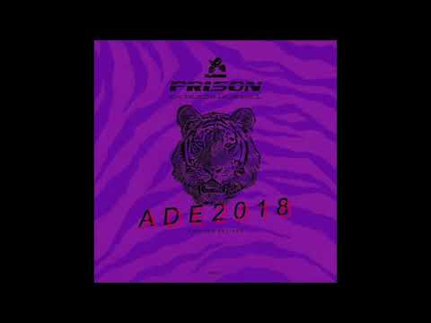 Nytron, Dassoler, Softmal - Nova York