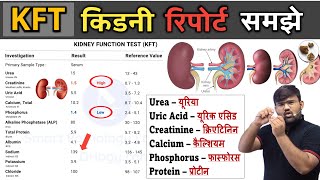 Download lagu किडनी फंक्शन रिपोर्ट | KFT Report | RFT | Kidney Function Test | Blood Test | Blood Report | Doctor mp3
