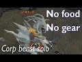 Corp Beast Solo No Food No Gear Only Mizuyari Spear RS3