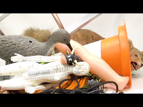 Το Μπιμπιλολό των Μαρκ Μοννέ και Αρνό Φαμπρ έρχεται στην Εναλλακτική Σκηνή της ΕΛΣ