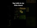 PHANTOM FOXY Five Nights At Freddy S 3