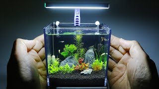 The World's Smallest Plant Aquarium
