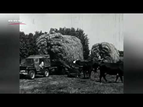 Geschiedenis: Gras en hooi - RPL TV Woerden