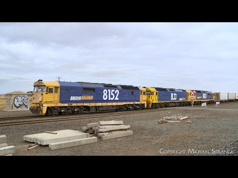 7902V Pacific National Mildura Container Train 8152 BL33 8183 (13/3/2024)  - PoathTV Railways