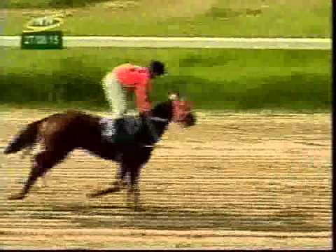 Resumen Jueves, 27 de Agosto de 2015 - Valencia