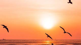 Barbra Streisand -Speak Low   [HQ]