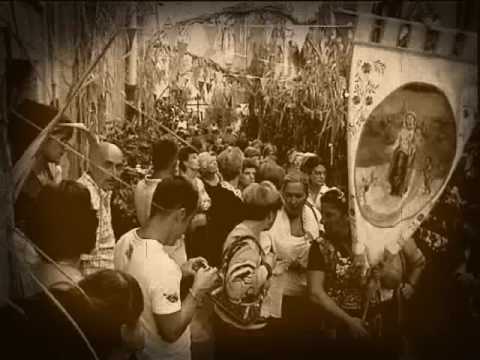 Bosa Regnos Altos 2008