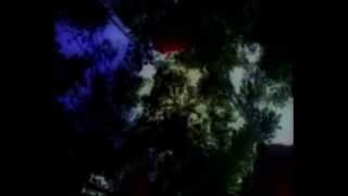 MATT ELLIOTT   ( my vision )