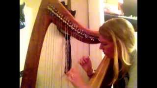 The whirling ways of stars that pass - Johann Johannsen - The Theory of Everything - harp