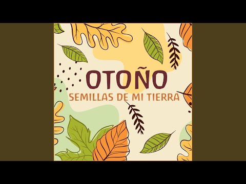 Tiempo de Otoño