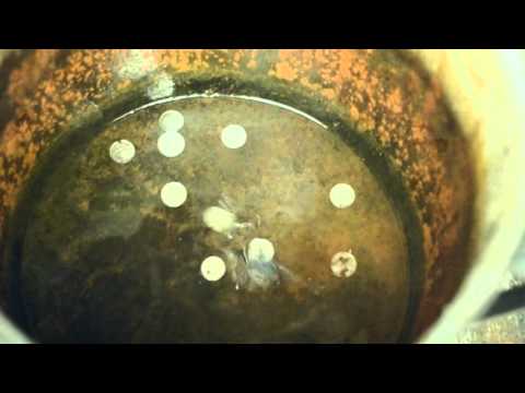 Nasol to Mořivkomoře 2016