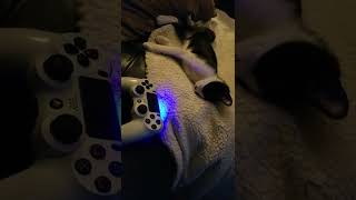 KITTY PLAYS PS4!!