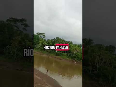 has escuchado sobre  "alto baudó, las delicias" en el chocó?👀