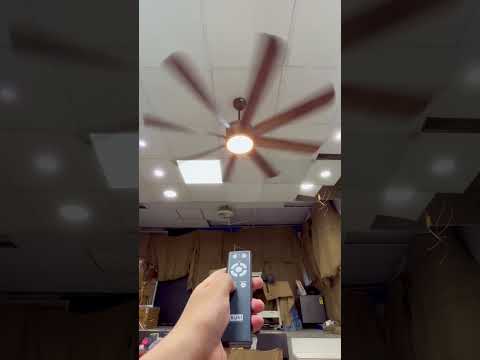 8 Blades BLDC Fan | Kühl Platin D8 Review 😊