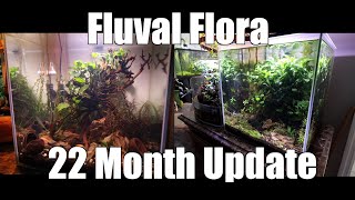 Fluval Flora: 22 Month Update