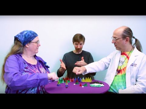 Zendo - Sample Game