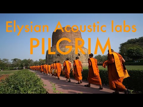Elysian Acoustical Labs - PILGRIM
