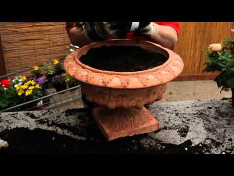 SAFRU Akadémia: Virág összeültetések