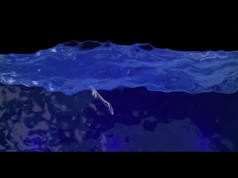 Henri Werner, Salvo - Enough For You