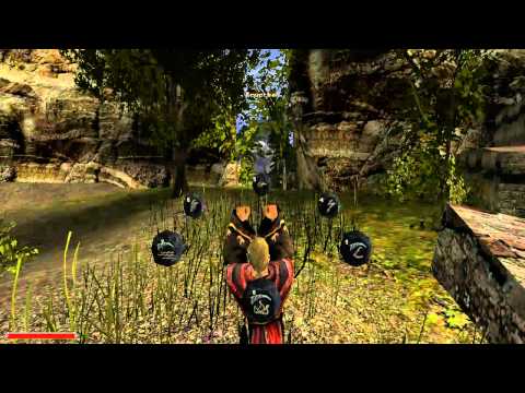 Let's Play Gothic II [German] Part 116: ... und deren Ausführung