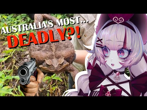 Australia Was TRAUMATIZED | The Toad that BROKE Australia | More parz reaction | Vtuber
