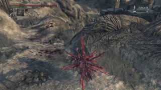 bloodborne　ゆったり侵入