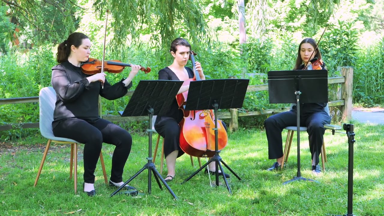 Promotional video thumbnail 2 for Evanston Strings, Elegant & Professional Live Music