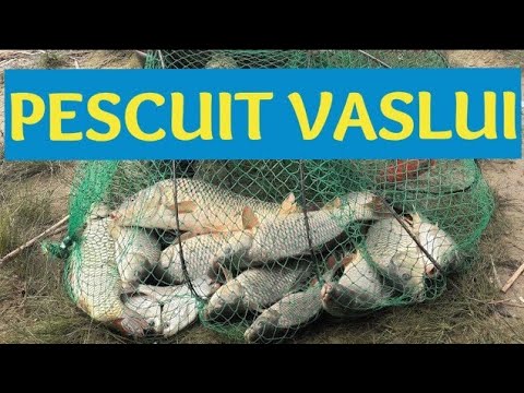 Pescuit la crap baraj Solesti Vaslui