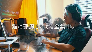 映像編集日に２７時間密着【海外映像クリエイターVLOG #０６】