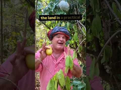 Ancient Food Systems: A Permaculture Perspective