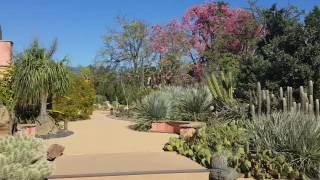 Succulents and Cacti Are Different- Update Your Design Principles to Accommodate Them.