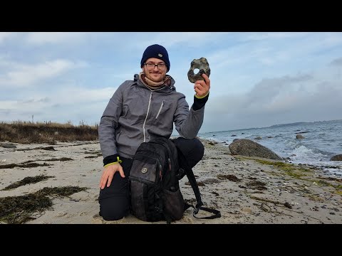 Schöne Funde in Schleswig-Holstein! Fossilien suchen an der Ostsee