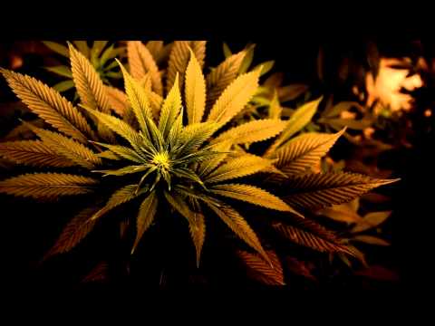 Tradesman & Parly B - In A Competition (Jinx In Dub Remix)