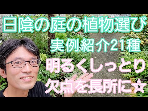 庭の侵入植物とは何ですか？それらの増殖を制限する効果的な方法  庭園