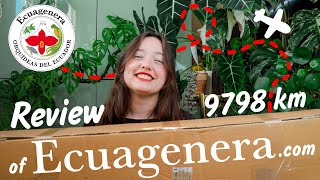 Unboxing Import Plants from Ecuagenera | Honest Review