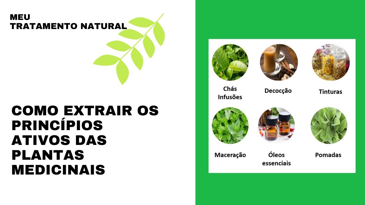 Medicina popular - Como extrair os princípios ativos das plantas medicinais