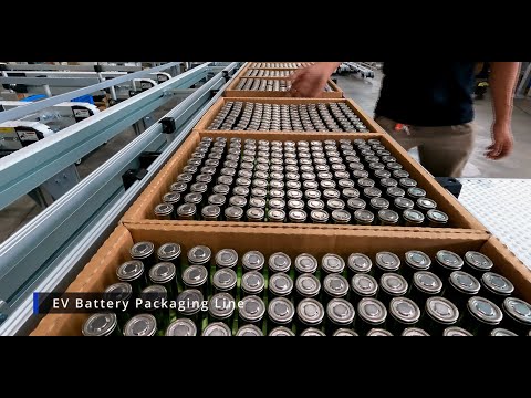 Conveyor for EV Battery Packaging Line