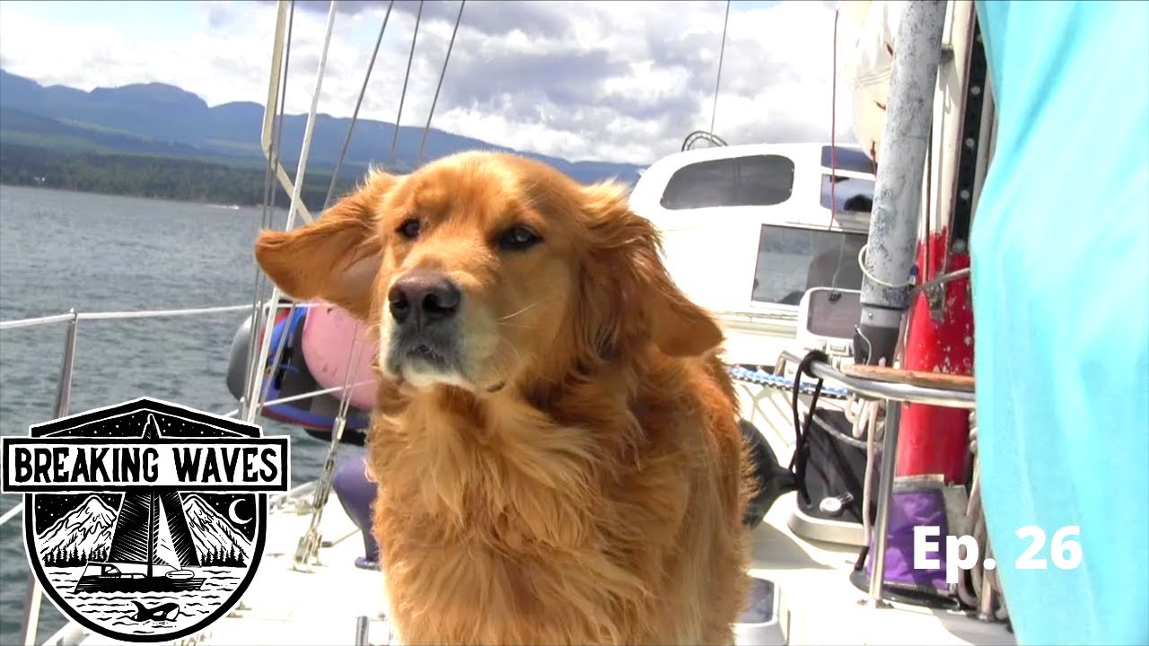 Living The Dream. Ep 26 - Breaking Waves