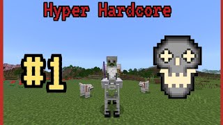 SMP [Hyper Hardcore] Capítulo 1.- Virus H