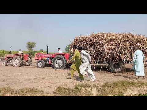 Aik trolly ko 2 tractoron 🚜nay nikala kaisay? #ganonkitrolly #2tractor #punjab @ShanooManooTaySimri