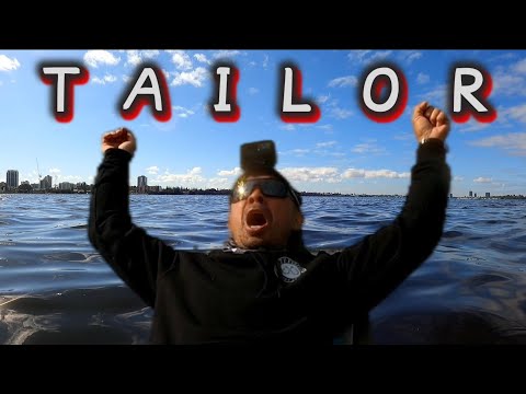 Tailor Ambush On Open Water Swan River Perth Australia